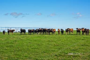 Farm For Sale - TAS - Redpa - 7330 - Excellent Opportunity  (Image 2)