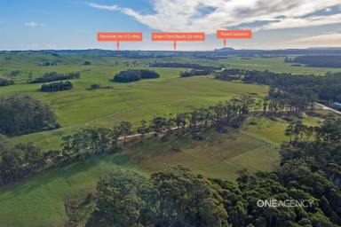 Farm For Sale - TAS - Redpa - 7330 - Excellent Opportunity  (Image 2)