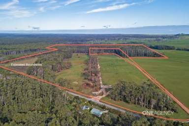 Farm For Sale - TAS - Redpa - 7330 - Excellent Opportunity  (Image 2)