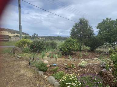 Farm For Sale - TAS - Triabunna - 7190 - Three Bedroom two story convict stone house on an acrea of land  (Image 2)