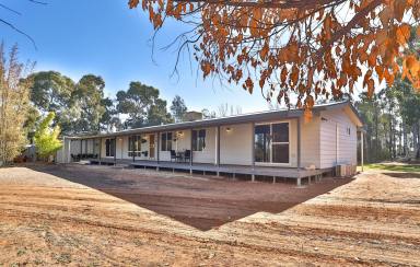Farm For Sale - VIC - Red Cliffs - 3496 - LIVE THE LIFESTYLE YOU DREAMED  (Image 2)
