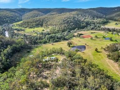 Farm For Sale - NSW - Wollombi - 2325 - 'Alkira' - Quality Homestead on a Glorious Acreage  (Image 2)