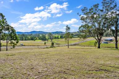 Farm For Sale - NSW - East Gresford - 2311 - Soaring Valley Views  (Image 2)