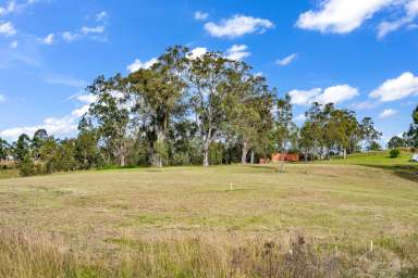 Farm For Sale - NSW - East Gresford - 2311 - Soaring Valley Views  (Image 2)