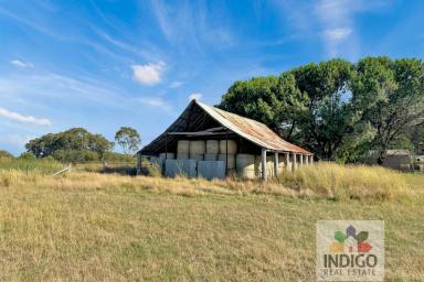 Farm For Sale - VIC - Wooragee - 3747 - Live the Dream  (Image 2)