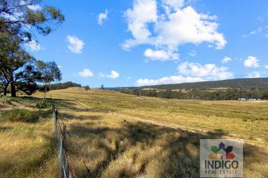 Farm For Sale - VIC - Beechworth - 3747 - Woolsheds Golden Hills  (Image 2)