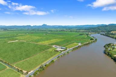 Farm For Sale - NSW - Tumbulgum - 2490 - Serious Agri Opportunity, Serious Vendor - Sugar Cane Farm Tweed Valley NSW  (Image 2)