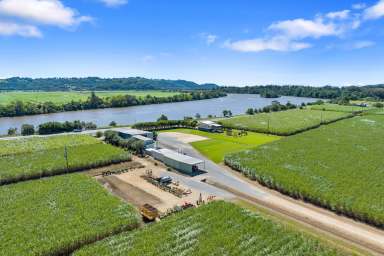 Farm For Sale - NSW - Tumbulgum - 2490 - Serious Agri Opportunity, Serious Vendor - Sugar Cane Farm Tweed Valley NSW  (Image 2)