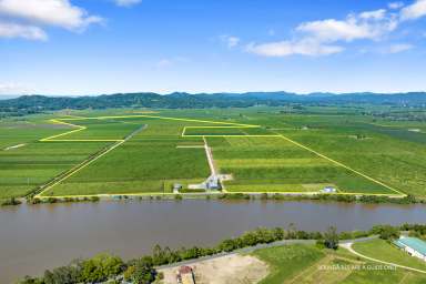 Farm For Sale - NSW - Tumbulgum - 2490 - Serious Agri Opportunity, Serious Vendor - Sugar Cane Farm Tweed Valley NSW  (Image 2)