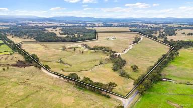 Farm For Sale - VIC - Newry - 3859 - Outstanding lifestyle property  (Image 2)