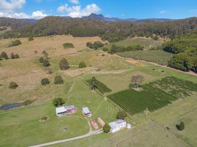 Farm For Sale - NSW - Dungay - 2484 - Quality land, water and fencing is just the beginning!  (Image 2)