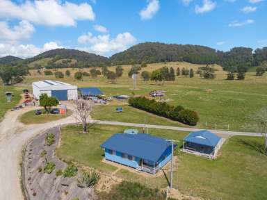 Farm For Sale - NSW - Dungay - 2484 - Quality 140 acres, 2 dwellings, water and fencing are just the beginning!  (Image 2)