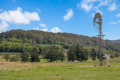 Farm For Sale - NSW - Dungay - 2484 - Quality 140 acres, 2 dwellings, water and fencing are just the beginning!  (Image 2)