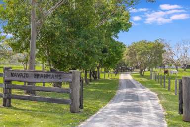 Farm For Sale - NSW - Eungella - 2484 - Fantastic Location - 18 Flat, Usable & Productive Acres - Close to Town  (Image 2)