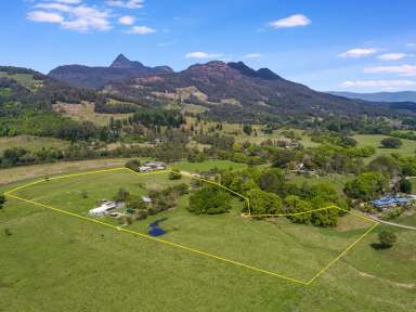 Farm For Sale - NSW - Eungella - 2484 - Fantastic Location - 18 Flat, Usable & Productive Acres - Close to Town  (Image 2)