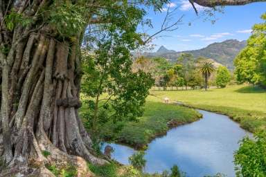 Farm For Sale - NSW - Eungella - 2484 - Fantastic Location - 18 Flat, Usable & Productive Acres - Close to Town  (Image 2)