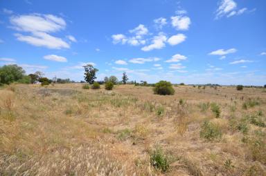 Farm For Sale - VIC - Macorna - 3579 - 7282M2 - (1.8 Acres) Affordable Enjoyment  (Image 2)