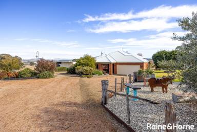 Farm For Sale - NSW - Maxwell - 2650 - Serene Views, Lifestyle and Privacy  (Image 2)
