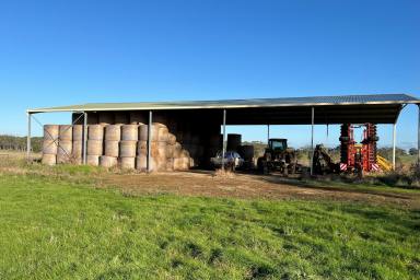 Farm For Sale - VIC - Elingamite - 3266 - Dairy / Beef / Sheep / Fodder  (Image 2)