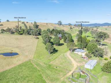 Farm For Sale - NSW - Candelo - 2550 - EXCEPTIONAL GRAZING  (Image 2)