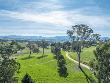 Farm For Sale - NSW - Candelo - 2550 - EXCEPTIONAL GRAZING  (Image 2)