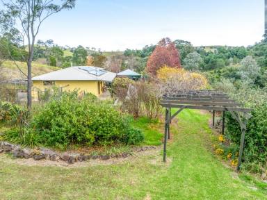 Farm For Sale - NSW - Bega - 2550 - PRIVATE SETTING RURAL PROPERTY  (Image 2)