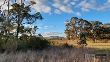 Farm For Sale - WA - Mount Barker - 6324 - Level Up with the Best  (Image 2)
