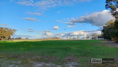 Farm For Sale - WA - Mount Barker - 6324 - Level Up with the Best  (Image 2)
