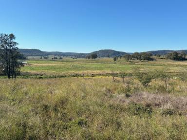Farm For Sale - NSW - Gungal - 2333 - Escape to the Countryside  (Image 2)