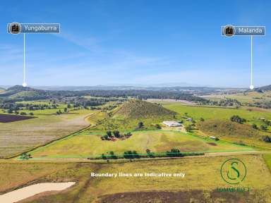 Farm For Sale - QLD - East Barron - 4883 - Don’t let this one get away! 180-degree Views  (Image 2)