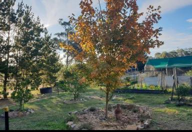 Farm Auction - NSW - Bungonia - 2580 - 25 Acres+ Country Home, Quaint Cabin, Bbq/Outdoor Kitchen, Shower, Road Frontage, Large Dam, Variety Of Fruit Trees, Amazing Potential  (Image 2)