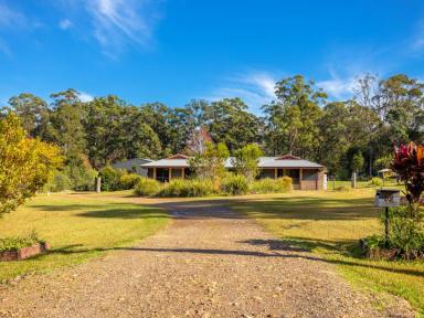Farm For Sale - NSW - Old Bar - 2430 - MODERN HOME ON SMALL ACRES  (Image 2)