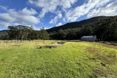 Farm For Sale - NSW - Merriwa - 2329 - 13 Bedrooms & 8 Bathrooms on 4.3 Acres  (Image 2)