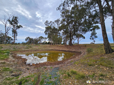 Farm For Sale - VIC - Rushworth - 3612 - "Pump Shed"  (Image 2)