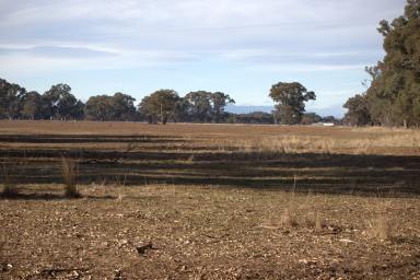Farm For Sale - VIC - Bowser - 3678 - 155 acre rural block just minutes from Wangaratta  (Image 2)