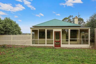Farm For Sale - VIC - Ecklin South - 3265 - Escape to the Country  (Image 2)