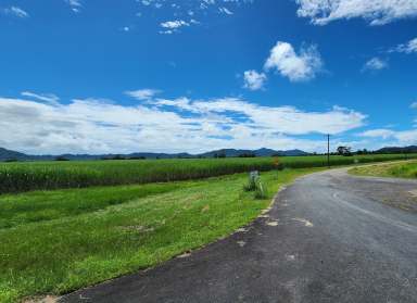 Farm For Sale - QLD - Midgenoo - 4854 - Agricultural land suitable for cane farming or cattle  (Image 2)