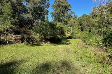 Farm For Sale - NSW - Dungog - 2420 - Tucked Away From It All  (Image 2)