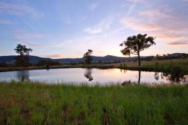 Farm For Sale - VIC - Tatong - 3673 - Max's Paddock - Captivating Tatong Valley Retreat on 28 Acres  (Image 2)