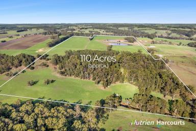 Farm Tender - VIC - Timboon - 3268 - 110 Acres with Curdies River Frontage  (Image 2)