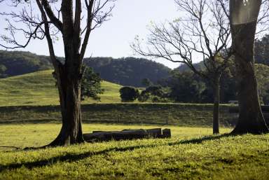 Farm For Sale - QLD - Peachester - 4519 - Working Farm set on 300+ Acres! Multiple Dams, Stanley River Frontage & Mountain Views!  (Image 2)