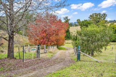 Farm Sold - NSW - Fosterton - 2420 - Peaceful, Private, Paradise  (Image 2)