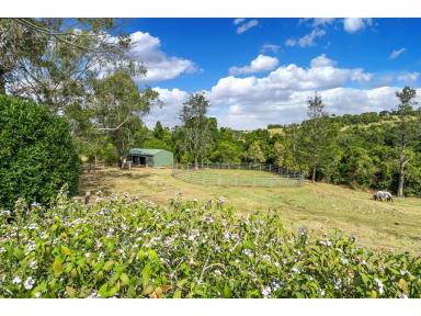 Farm For Sale - NSW - East Lismore - 2480 - Unique Acreage Offering Close to Town with DA Approved Subdivision  (Image 2)