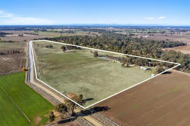 Farm For Sale - VIC - Kialla - 3631 - "Fairway Park" Extensive Kialla Golf Course Frontage With Irrigation Available  (Image 2)
