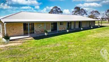 Farm For Sale - NSW - Narrabri - 2390 - SPACIOUS HOME WITH RURAL VIEWS ON 2HA!  (Image 2)