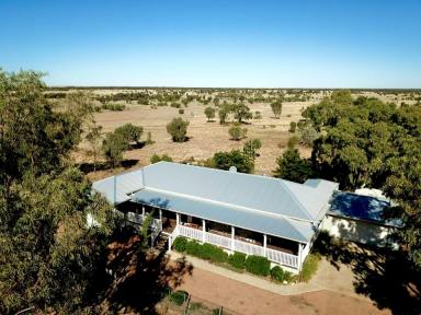 Farm Auction - QLD - Longreach - 4730 -     'Rosabel' Gem of the Thomson River                     (Image 2)