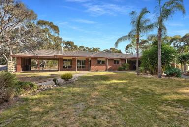 Farm For Sale - VIC - Haven - 3401 - Family Home in Haven  (Image 2)