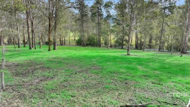 Farm For Sale - VIC - Noorinbee - 3890 - Nestled in Nature - Build your Dream  (Image 2)