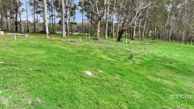 Farm For Sale - VIC - Noorinbee - 3890 - Nestled in Nature - Build your Dream  (Image 2)