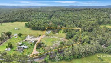 Farm For Sale - VIC - Cann River - 3890 - Over Six Acres of Stunning Elevated Land  (Image 2)